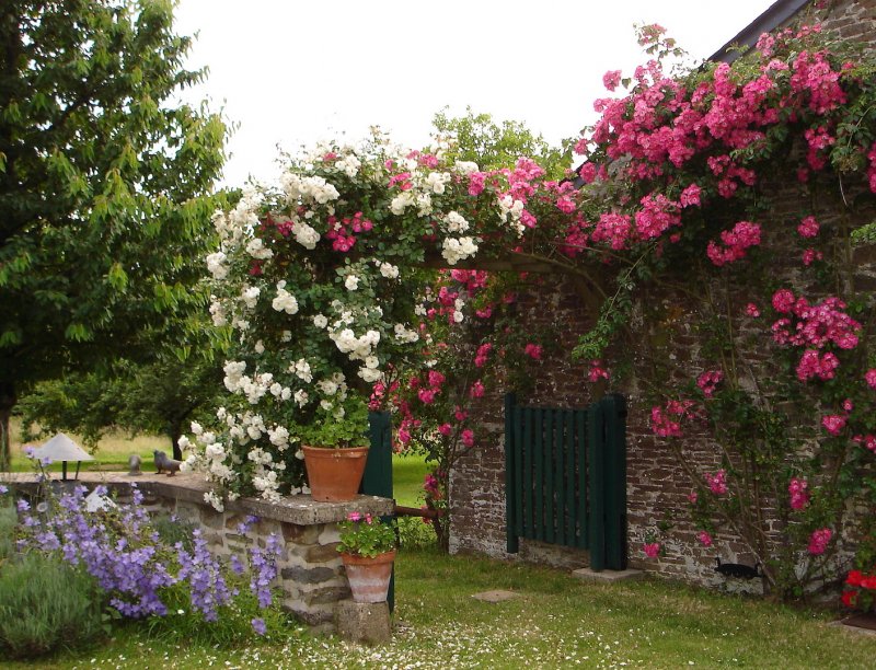 Manoir du Prieuré_53170 BAZOUGERS_20